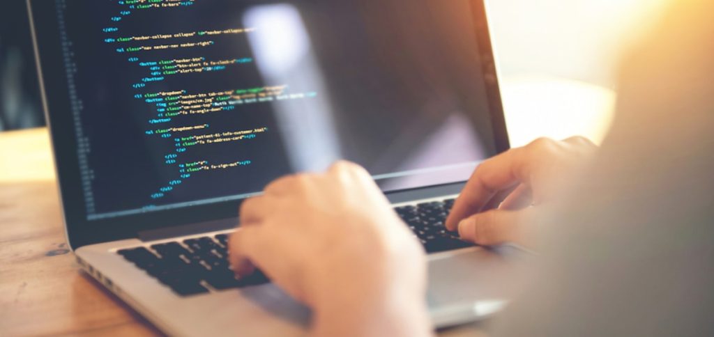 Website Developer
